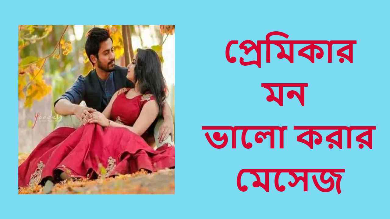 প্রেমিকার মন ভালো করার মেসেজ