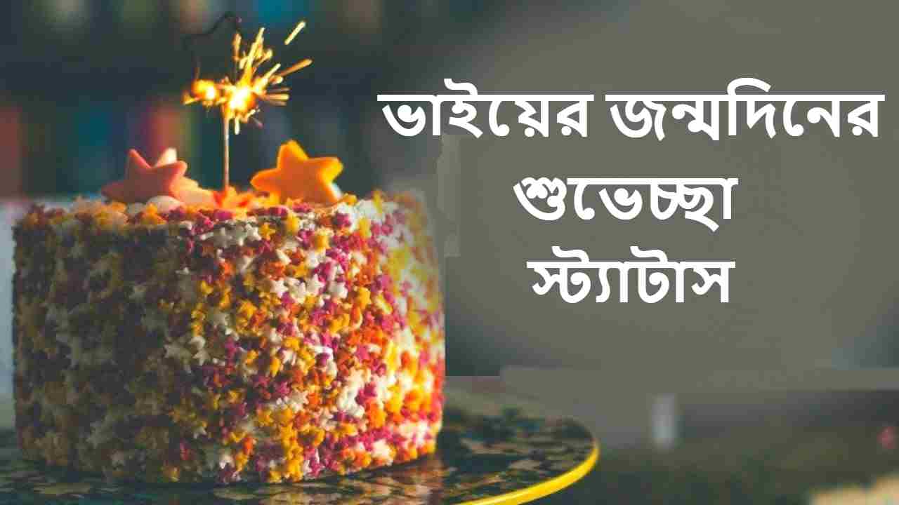  ভাইয়ের জন্মদিনের শুভেচ্ছা স্ট্যাটাস