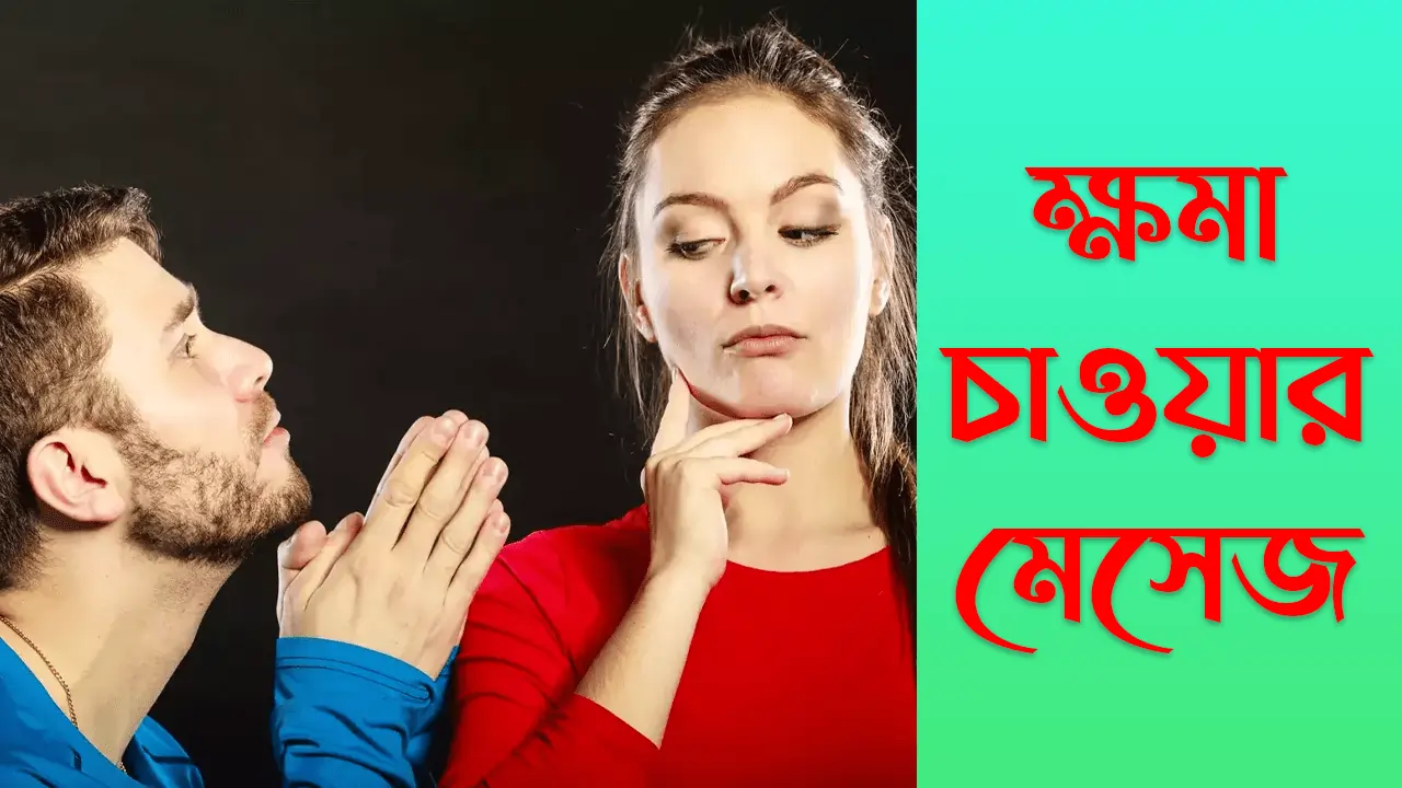 ক্ষমা চাওয়ার মেসেজ